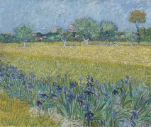 Вид Арля с ирисами (View of Arles with Irises), 1888 - Гог, Винсент ван