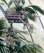 Орхидеи - Кайботт, Густав