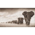 Слоны, идущие в траве - Брандт, Ник