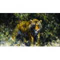 Тигр в зарослях - Шеперд, Девид (20 век)