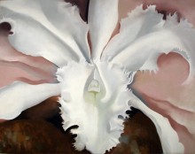 Картина Последняя орхидея Нарцисса - О'Кифф, Джорджия