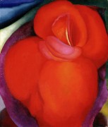 Красный цветок - О'Кифф, Джорджия