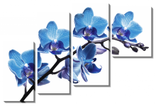 Ветка с голубыми орхидеями