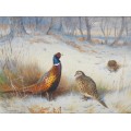 Зимний пейзаж с фазанами - Торберн, Арчибальд