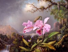 Орхидея и колибри на фоне пейзажа - Хед, Мартин Джонсон