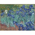 Ирисы (Irises), 1889 - Гог, Винсент ван