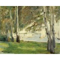 Березы на берегу озера Ванзе, 1924 - Либерман, Макс