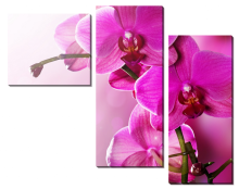 Модульная картина Орхидеи в розовом