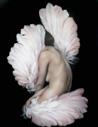 Девушка в розовых перьях - Копии Эми Джадд
