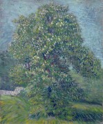 Цветущий каштан (Chestnut Tree in Blossom), 1887 - Гог, Винсент ван