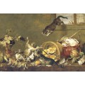 Драка котов в кладовке, 1650 - Вос, Корнелис де