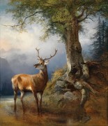 Молодой олень в лесу у ручья - Гауэрман, Фридрих