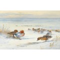 Дикие утки на снегу - Торберн, Арчибальд
