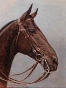 Гнедой конь Арканзас - Мухарский, Густав