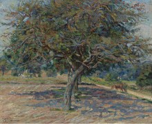 Деревья и Иль-де -Франс, 1878 - Гийомен, Арманд