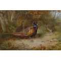 Птицы в осеннем пейзаже - Торберн, Арчибальд