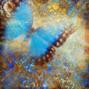Бабочка и золото на голубом
