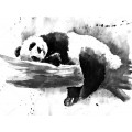 Спящий панда