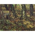 Подлесок и плющ (Tree Trunks with Ivy), 1889 - Гог, Винсент ван