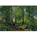 Буковый лес в Швейцарии, 1863-1864 - Шишкин, Иван Иванович