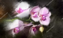 Картина Орхидея на темном фоне