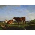 Три коровы на пастбище - Бонёр, Роза