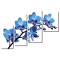 Ветка с голубыми орхидеями