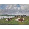 Коровы на пастбище в долине Тук - Буден, Эжен