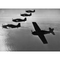 Самолеты Второй мировой войны - Бристоль, Гораций