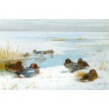 Зимний пейзаж с утками - Торберн, Арчибальд