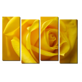 Желтая роза_2