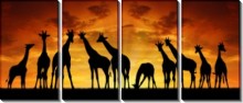 Панорама Жирафы - Сток