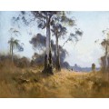 Коримбии, Кангару Флэт (Долина кенгуру), 1921 - Бойд, Теодор Пенли