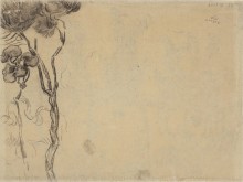 Набросок сосен (Sketch of Pine Trees), 1889 - Гог, Винсент ван