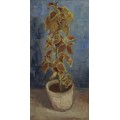 Колеус в цветочном горшке (Coleus Plant in a Flowerpot), 1886 - Гог, Винсент ван