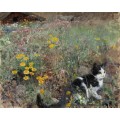 Котик на цветочном лугу - Лильефорс, Бруно