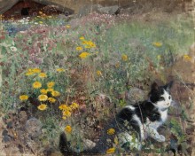 Котик на цветочном лугу - Лильефорс, Бруно