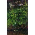 Полевые цветы у воды, 1889-1890 - Шишкин, Иван Иванович