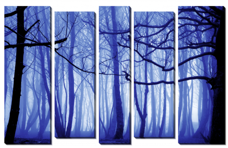 Синий лес_2