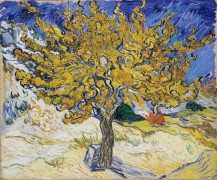 Тутовое дерево (Mulberry Tree), 1889 - Гог, Винсент ван