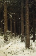 Еловый лес зимой, 1884 - Шишкин, Иван Иванович