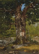 Бодмер дуб, лес Фонтенбло , 1865 - Моне, Клод