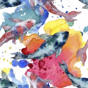 Разноцветные рыбы - Сток