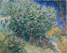 Куст сирени (Lilac Bush), 1889 - Гог, Винсент ван