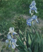 Голубые ирисы в саду Пти-Женвильер - Кайботт, Густав