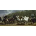 Ярмарка лошадей - Бонёр, Роза