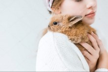 Девочка и кролик