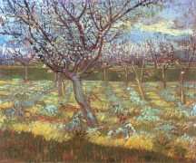Абрикосовое дерево в цвету (Apricot Tree in Bloom), 1888 - Гог, Винсент ван