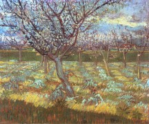 Абрикосовое дерево в цвету (Apricot Tree in Bloom), 1888 - Гог, Винсент ван