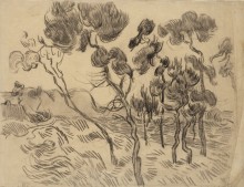 Пейзаж с соснами (Landscape with Pine Trees), 1889 - Гог, Винсент ван